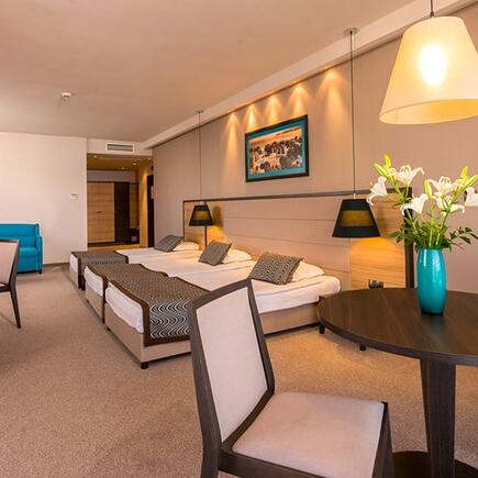 Astera Hotel & SPA